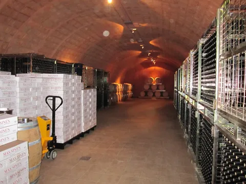 Los alrededores de la bodega
