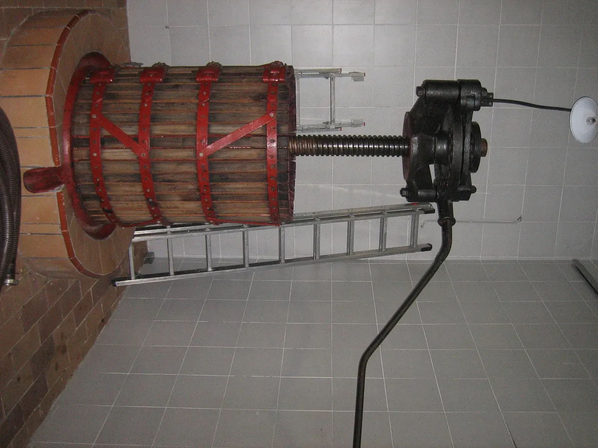 Traditional press for white wine